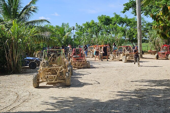 Horses, Buggy, and plantation in Chocaci Ranch - Key things you should notice before you go