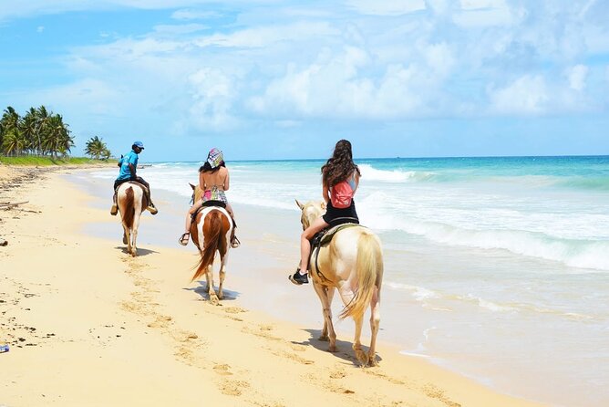 Horses, Buggy, and plantation in Chocaci Ranch - Getting picked up in Punta Cana (and why that matters)