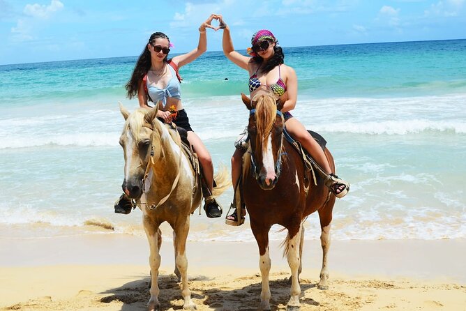 Horses, Buggy, and plantation in Chocaci Ranch - The 2-hour rhythm: what you’ll actually be doing