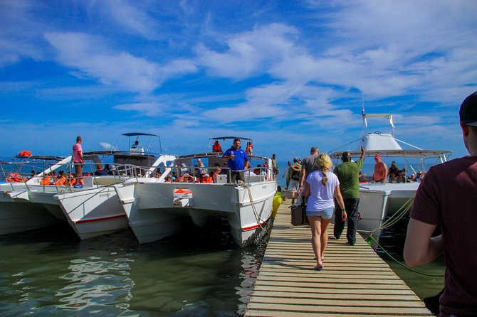 Humpback whales Watching + Samana Eco-Tour - Boat Time in Samana Bay: What the Catamaran Day Feels Like