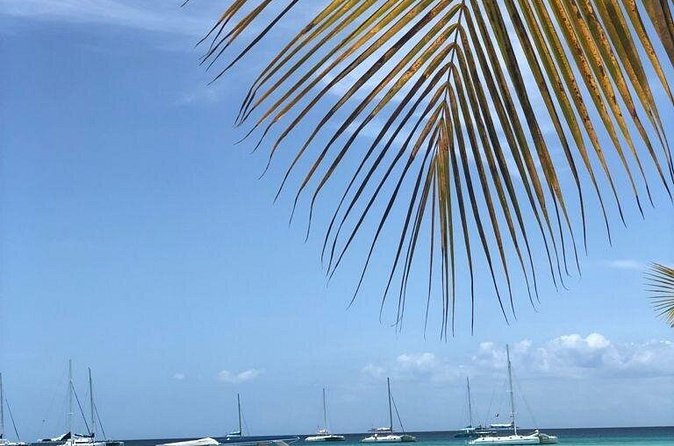 Iberostar Grand Bavaro - Round Trip Shuttle - Punta Cana Airport - What Happens On the Return Trip to the Airport