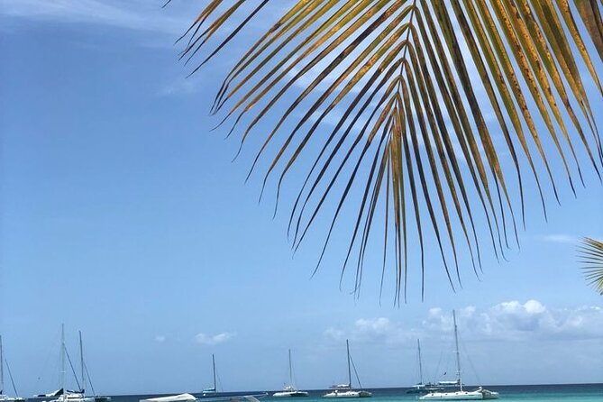 Iberostar Grand Bavaro - Round Trip Shuttle - Punta Cana Airport - Who This Shuttle Fits Best (And Who Might Skip It)
