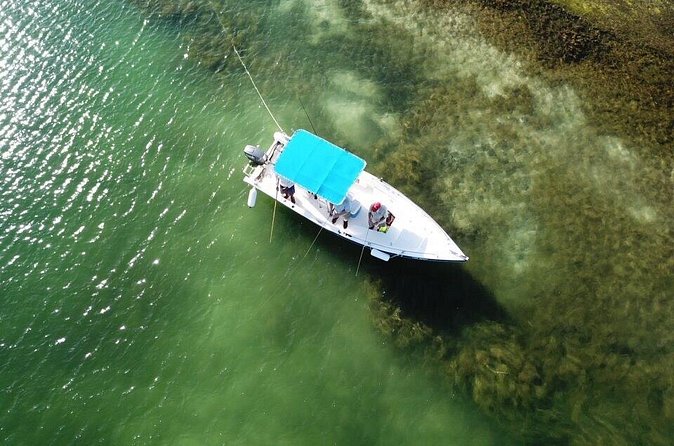 Inshore & Fly Fishing Punta Cana Private charter at Marina Cap Cana - Snorkeling Between Catches: The Part to Pay Attention To