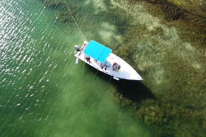 Inshore & Fly Fishing Punta Cana Private charter at Marina Cap Cana - Fishing Help for Beginners: How to Use the Guide Time