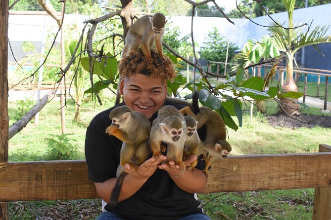 Interaction with Monkey Tour & city tour in Puerto Plata - Macorix House of Rum: the 20-minute stop that sets the tone