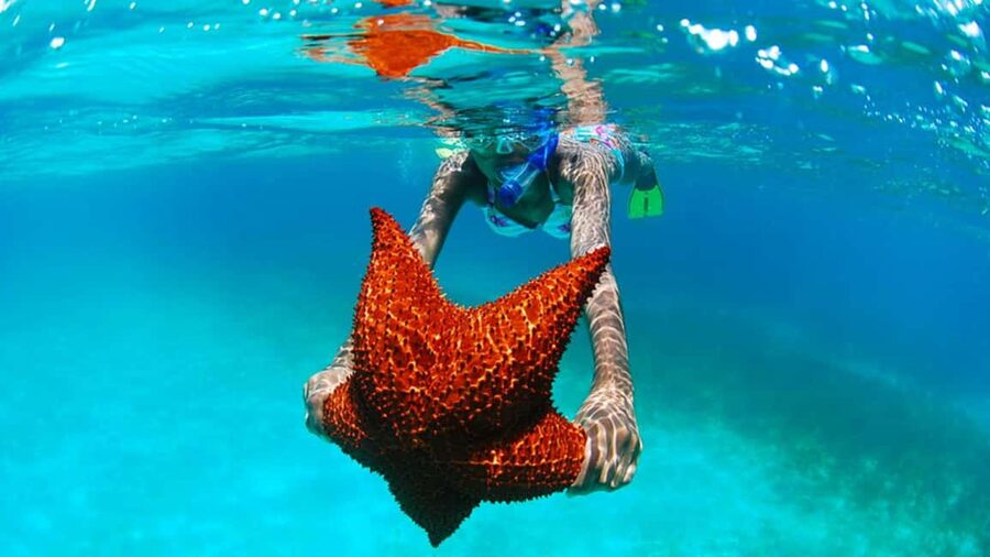 isla saona día completo - Natural Swimming Pool stop: your best swim window