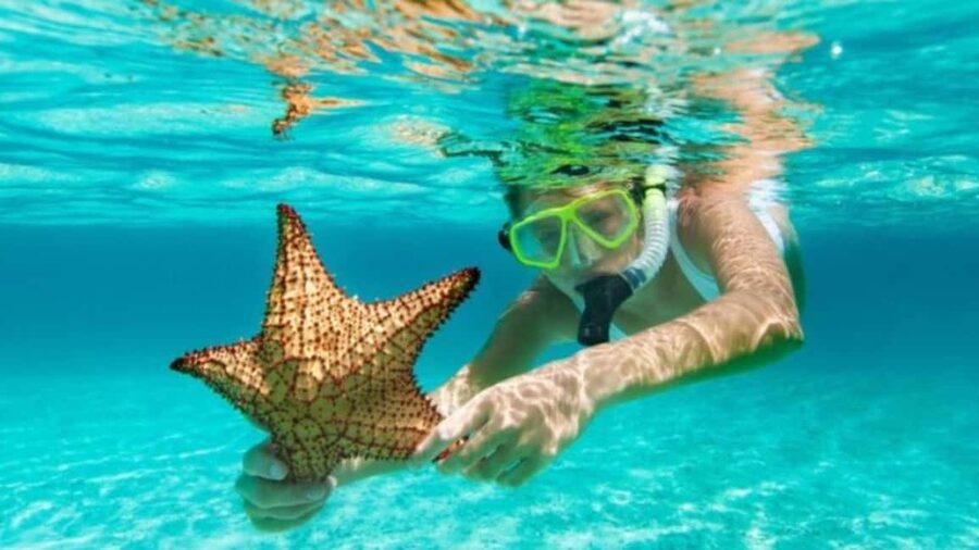 isla saona día completo - Saona Island free time: beaches, shade, and how to pace it