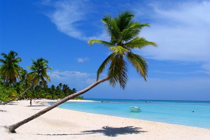 Isla Saona El Paraiso del Caribe - Key things to know before you go