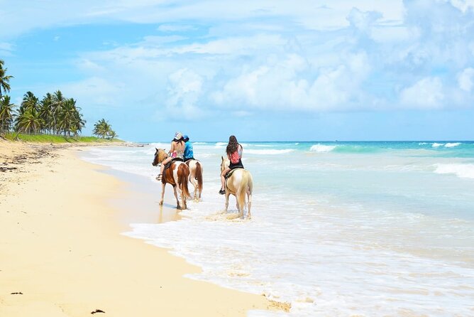 Jungle and Beach Horse Ridding round trip transportatin. - Key things that make this tour worth your time