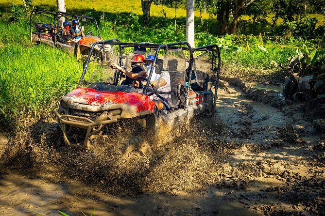 Jungle Buggies and Monkeyland from Punta Cana - Quick hits you’ll care about