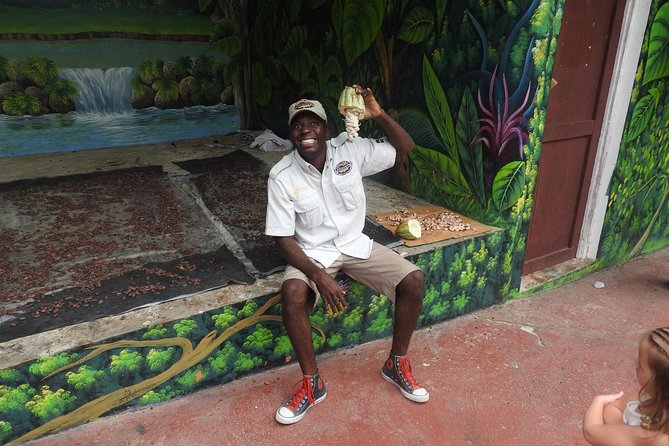 Jungle Buggies and Monkeyland from Punta Cana - Dominican Lunch, Photo Sessions, and the Real Reason the Day Feels Long