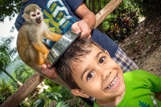 Jungle Buggies and Monkeyland from Punta Cana - Who Should Book Jungle Buggies and Monkeyland?