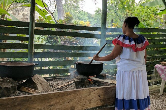 Jungle Buggies and Monkeyland from Punta Cana - Should You Book This Tour?