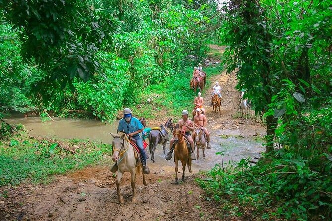 Jungle Buggies + Zilplining + Horseback Ride + Countryside + Macao Beach - Dune buggies at Hacienda Tuko It: driving time, dust, and mud