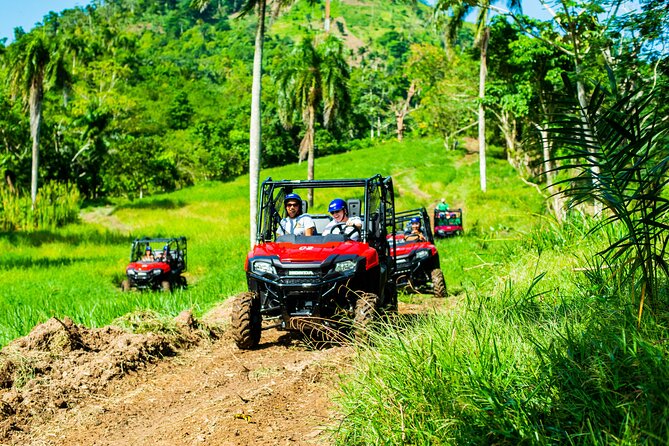 Jungle Buggies + Ziplines Adventures - Jungle Buggies + Ziplines: What Makes This Punta Cana Day Different
