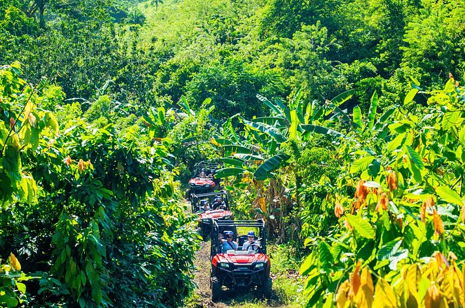 Jungle Buggies + Ziplines Adventures - What to Wear and Bring: You’ll Want Mud-Proof Plans