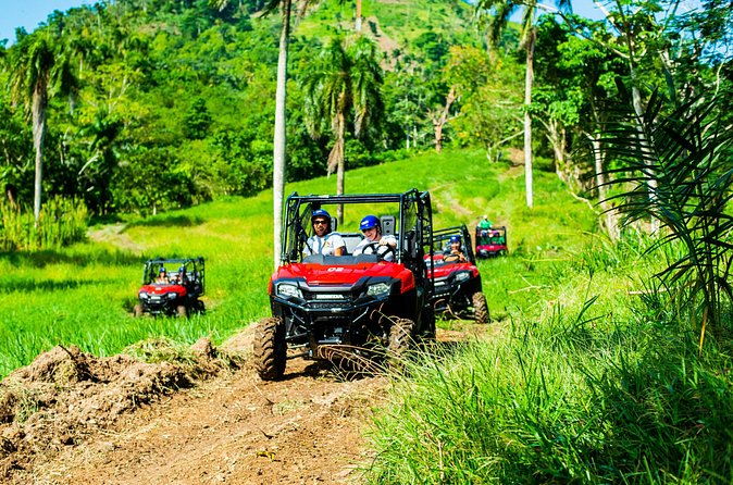 Jungle Buggies + Ziplines Adventures - Who Should Book This Tour, and Who Should Skip