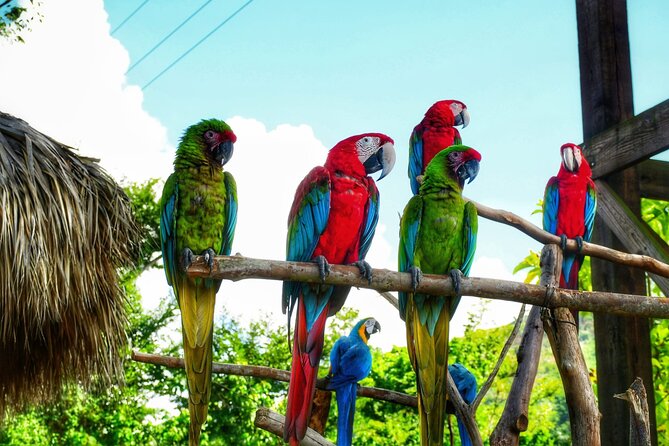 La Hacienda Park Tour - Key Highlights You’ll Feel All Day