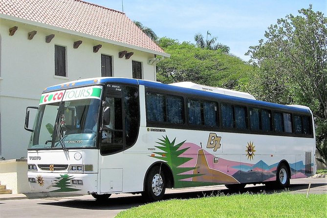 La Romana port transfers (Punta Cana airport to port) - Meeting the Driver in Punta Cana Without Losing Your Cool