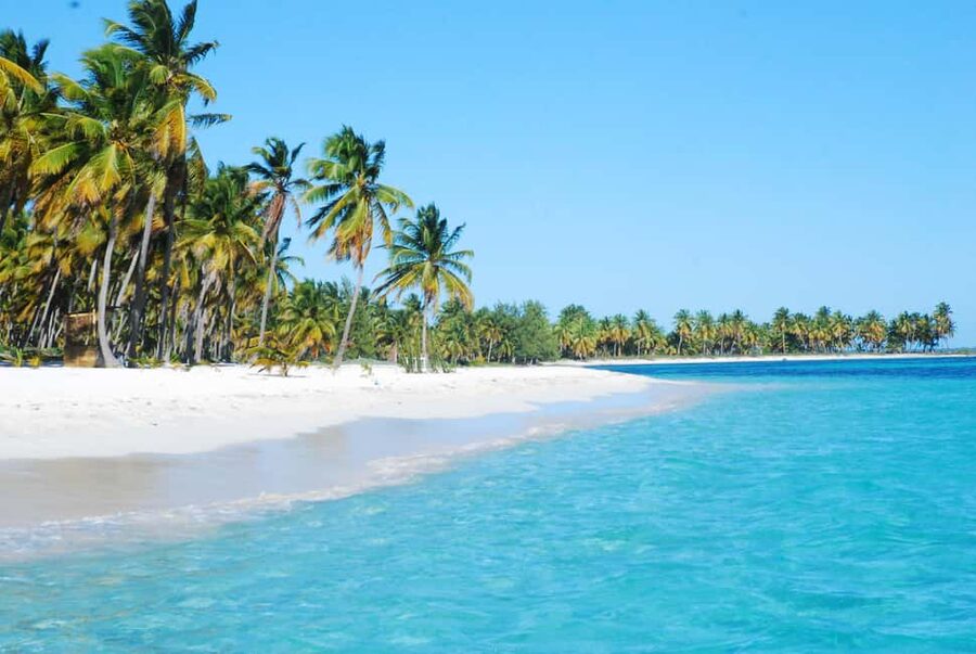 La Romana: Saona Crusoe VIP for cruise guests - The sea turtle conservation project: learning without getting preachy