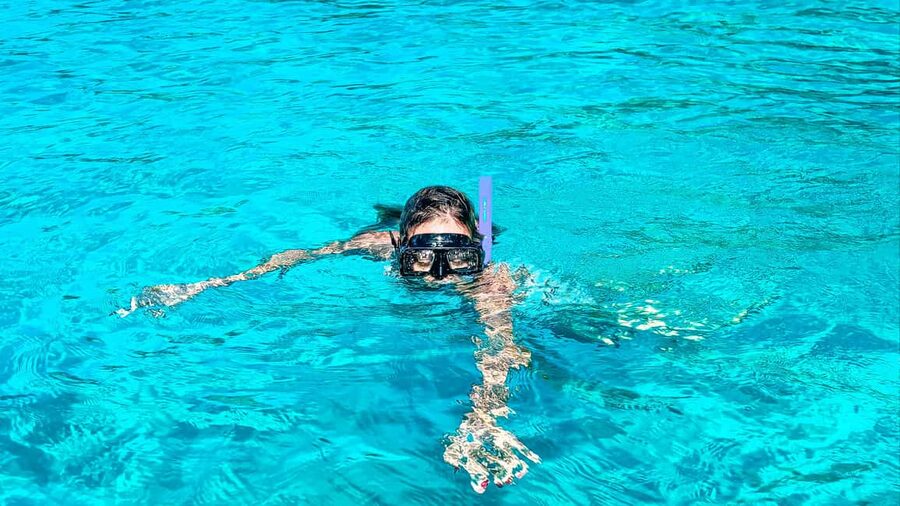 La Romana: Saona Crusoe VIP for cruise guests - Mangroves in Cotubanamá: you learn, you watch, you don’t trampling around