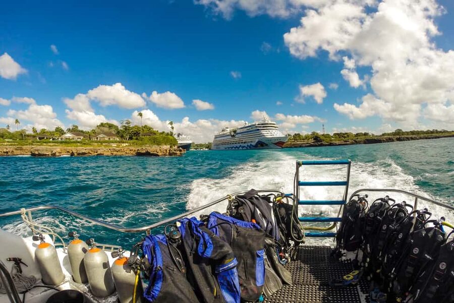 La Romana: Scuba Diving in Catalina Island - Key highlights to know before you go