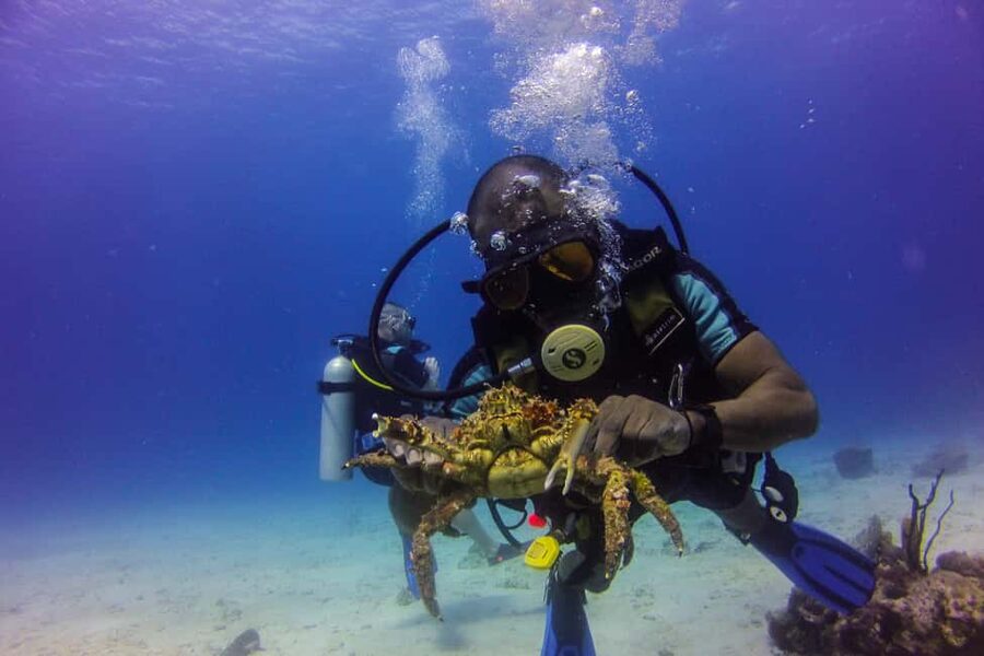 La Romana: Scuba Diving in Catalina Island - A straightforward 9-hour La Romana plan that actually feels like a plan