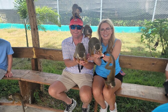 land of monkeys and silver port city tour - The Monkey Home Part: Squirrel Monkeys, Macaws, and Feeding Time