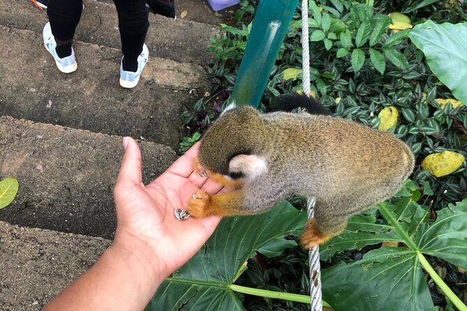 land of monkeys and silver port city tour - Lunch and a Cold Beer Moment: Typical Food in a Restaurant Stop