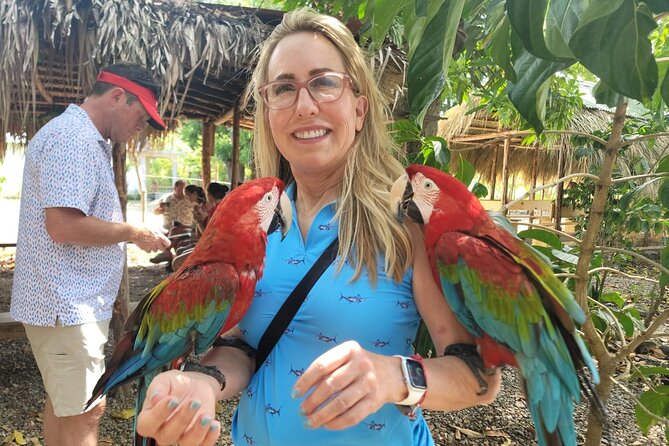 land of monkeys and silver port city tour - Price, Timing, and Why This One Is a Smart Private Choice