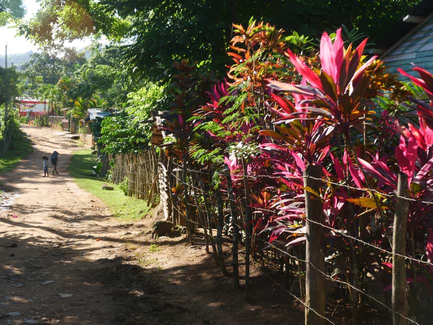 Las Terrenas: El Limón Waterfall Trekking Tour in Samana - Key things that make this trek worth it