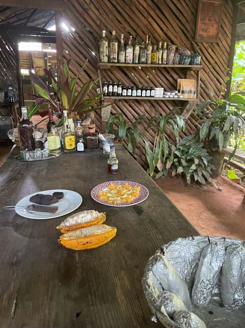 Las Terrenas: Private Coffee Trail ATV Tour in Samana - What I’d consider before booking: comfort, pace, and expectations