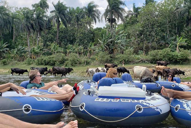 Lazy River Tubing Cabarete, Dominican Republic - River reality check: rapids, rain, and the “easy” part of lazy tubing