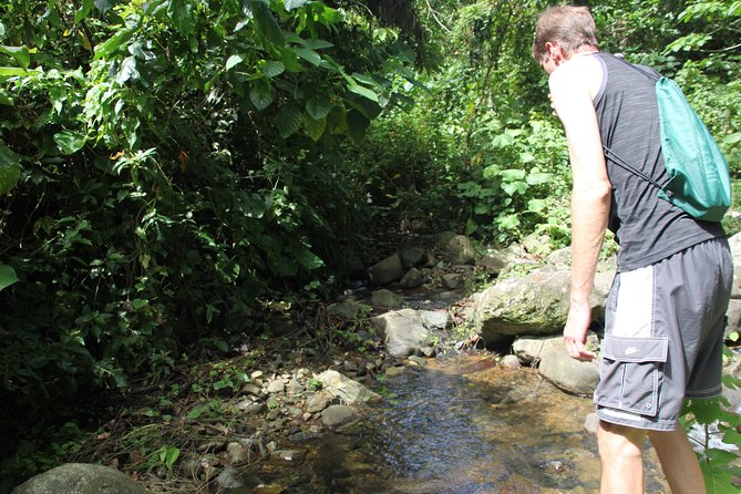 Let's do hiking in Punta Cana - Why this Punta Cana hike feels like a true escape from resort life