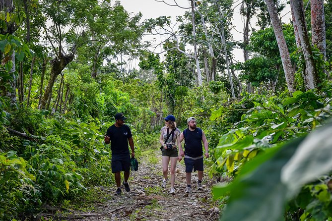 Let's do hiking in Punta Cana - Price and value: is $75 a good deal for this kind of day?