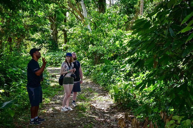Let's do hiking in Punta Cana - Getting from Punta Cana to the trail: the 4-hour game plan