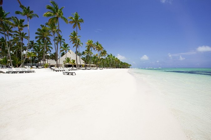 Live Aqua Beach Resort Punta Cana - Round Trip Shuttle - Punta Cana Airport - Day-of game plan: how to make pickup smooth