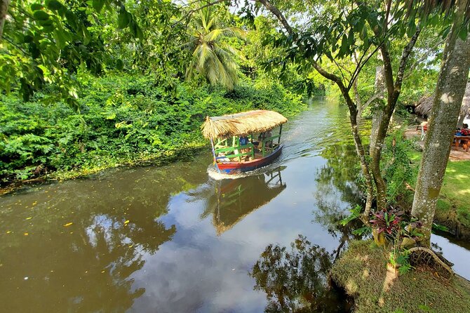Local Excursion || Jungle Safari Excursion - Why This Cabarete Jungle Safari Stays Relaxing (Even With Animals)