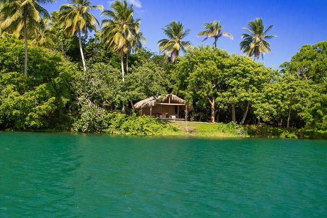 Local Excursion || Jungle Safari Excursion - Getting There: Pickup from Sosua and Cabarete and What That Means