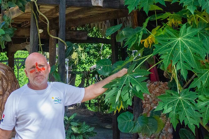 Local Excursion || Jungle Safari Excursion - Lunch at a Restaurant Built on Natural Trees