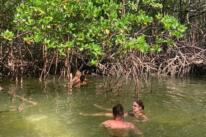 Local Excursion | Paradise Island Punto Rucia & snorkeling - Lunch on Paradise Island: what’s included, what’s not, and how it adds value