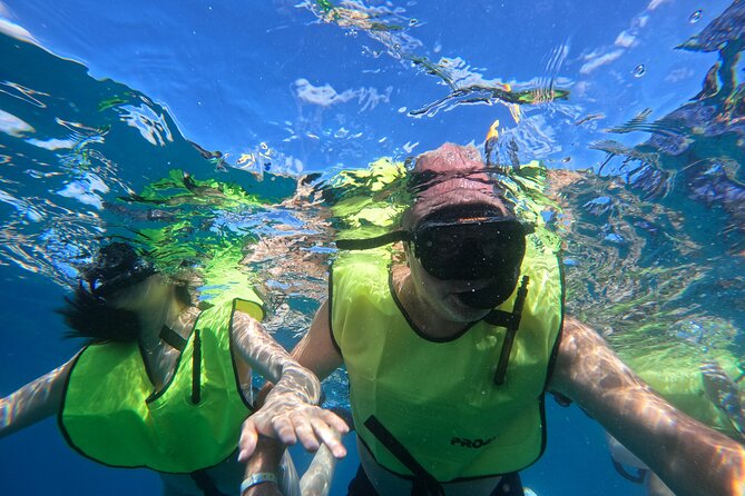 Local Excursion | Paradise Island Punto Rucia & snorkeling - The ride back: Monte Cristi National Park and the Mangrove Lagoon stops