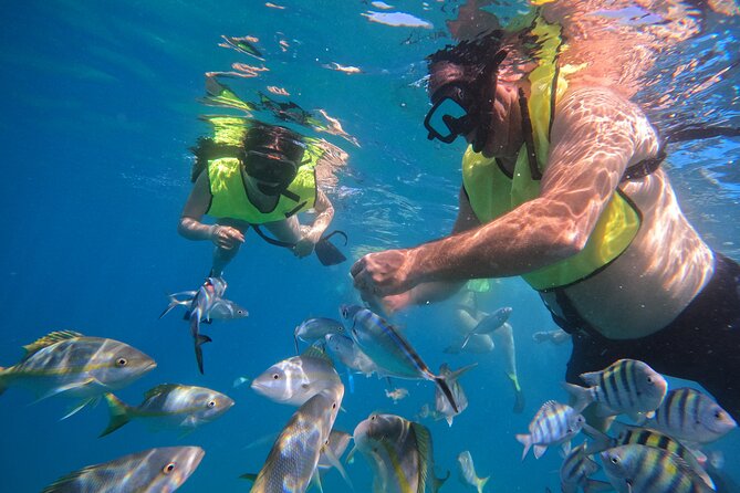 Local Excursion | Paradise Island Punto Rucia & snorkeling - Should you book Paradise Island & Punto Rucia snorkeling?