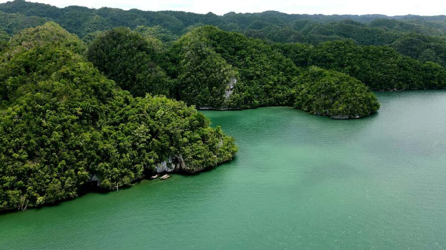 Los Haitises: Boat Excursion and Walking Tour with Lunch - Should you book this tour?