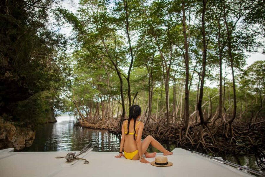 Los Haitises: Boat Excursion and Walking Tour with Lunch - The cave walk: pictographs and petroglyphs on foot