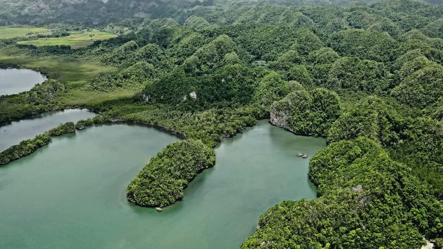 Los Haitises: Boat Excursion and Walking Tour with Lunch - Cayo Levantado (Bacardi Island): lunch and a beach reset