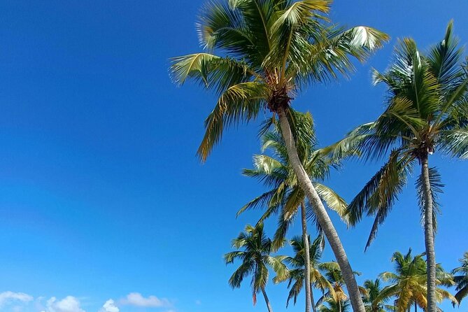 Los Haitises National Park, Montaña Redonda & Bacardi Island - Montaña Redonda: quick viewpoint time and a cool-air pause
