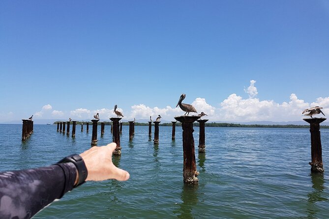 Los Haitises National Park, Montaña Redonda & Bacardi Island - Guided Snorkeling: what’s included and how to get the most from it
