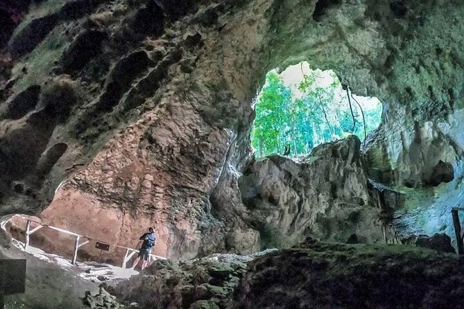 LOS HAITISES National Park - Punta cana - Glide through mangroves and hunt for birds and manatees