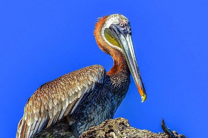Los Haitises National Park Tour from Punta Cana Montana Redonda and Cano Hondo - Price and value: what $120 buys you (and what it doesn’t)